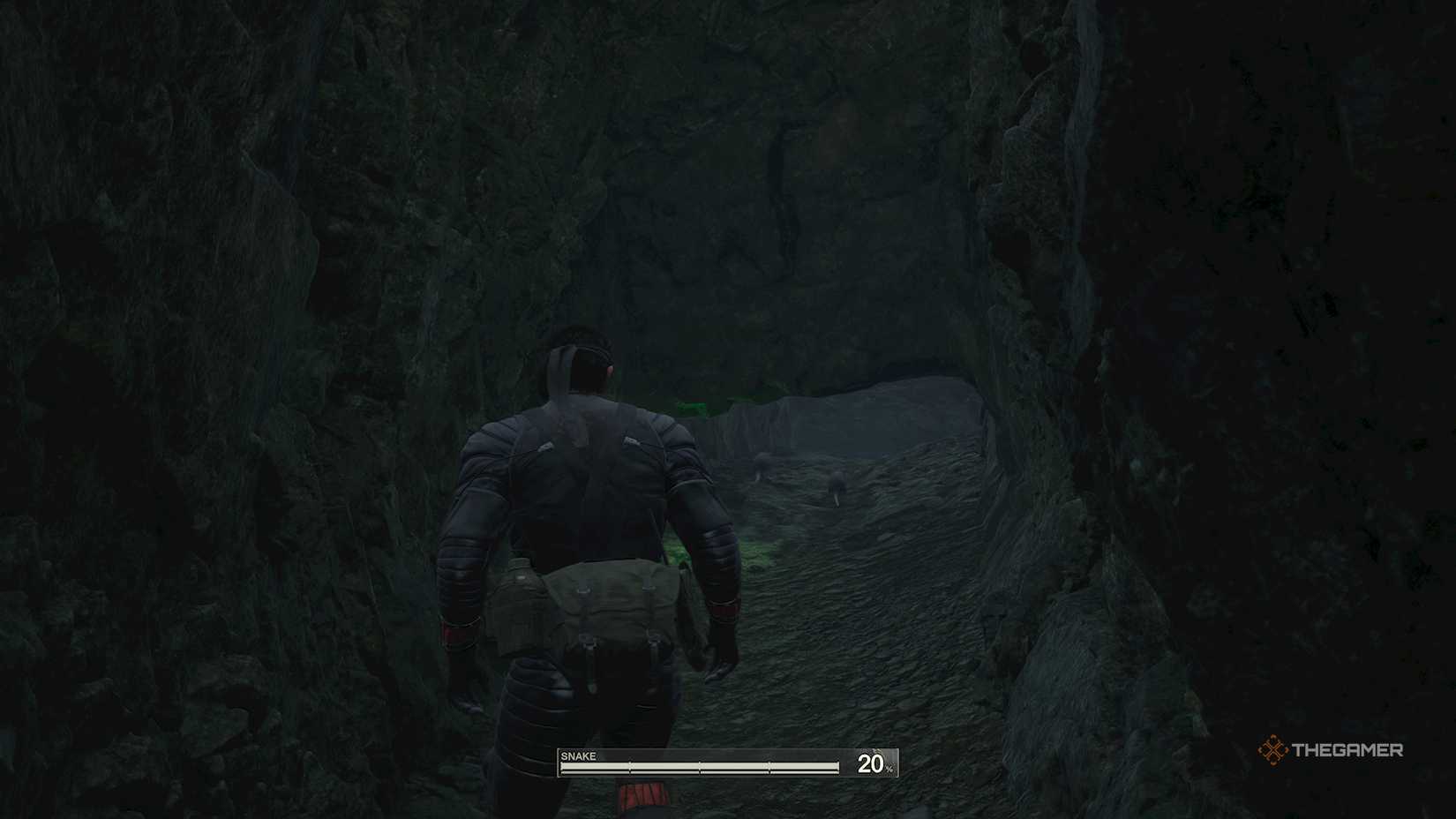 Snake at the Mete Gear Solid Delta: Snake Eat.