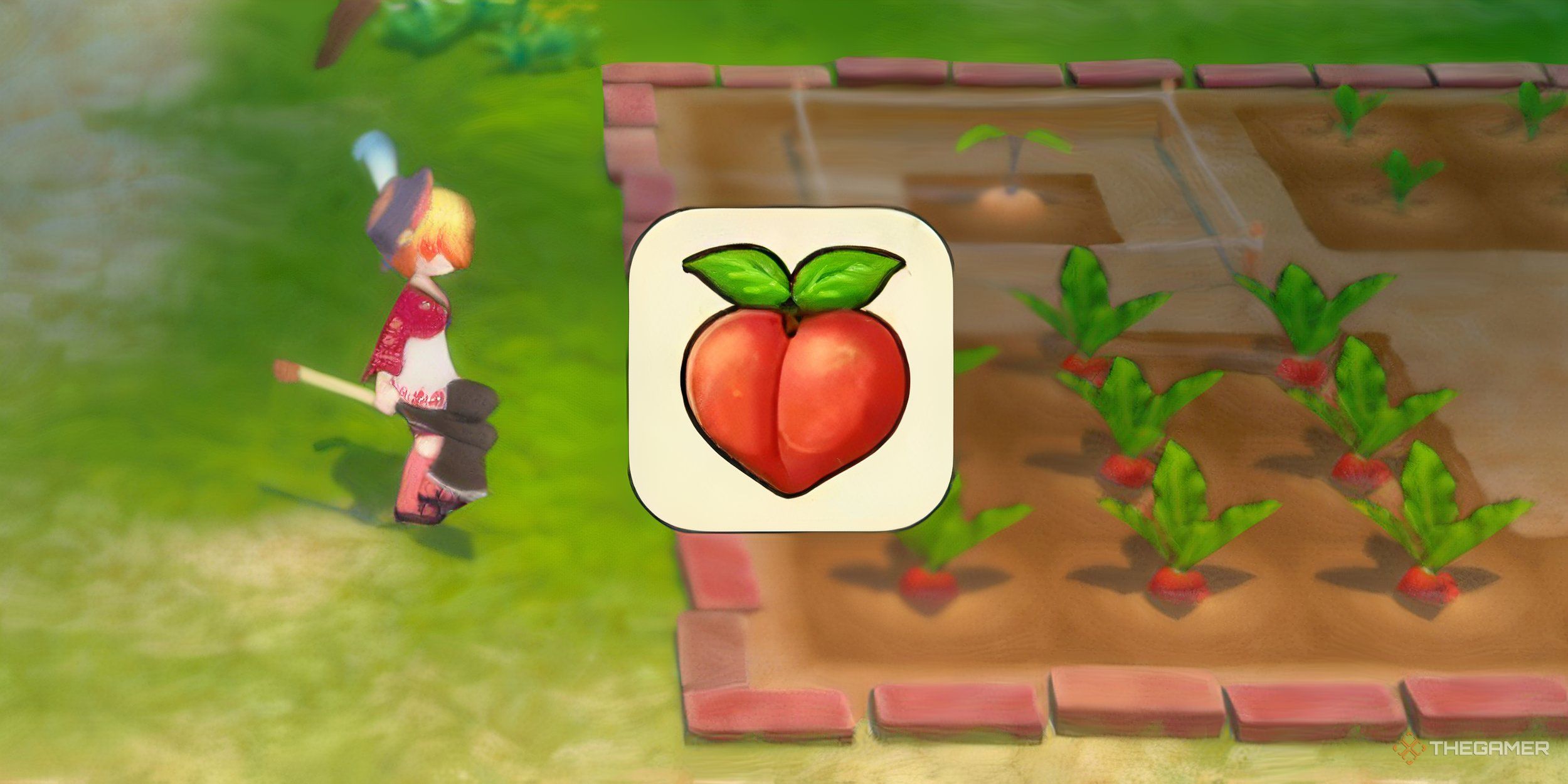 All Power Berry Locations In SoS: Grand Bazaar