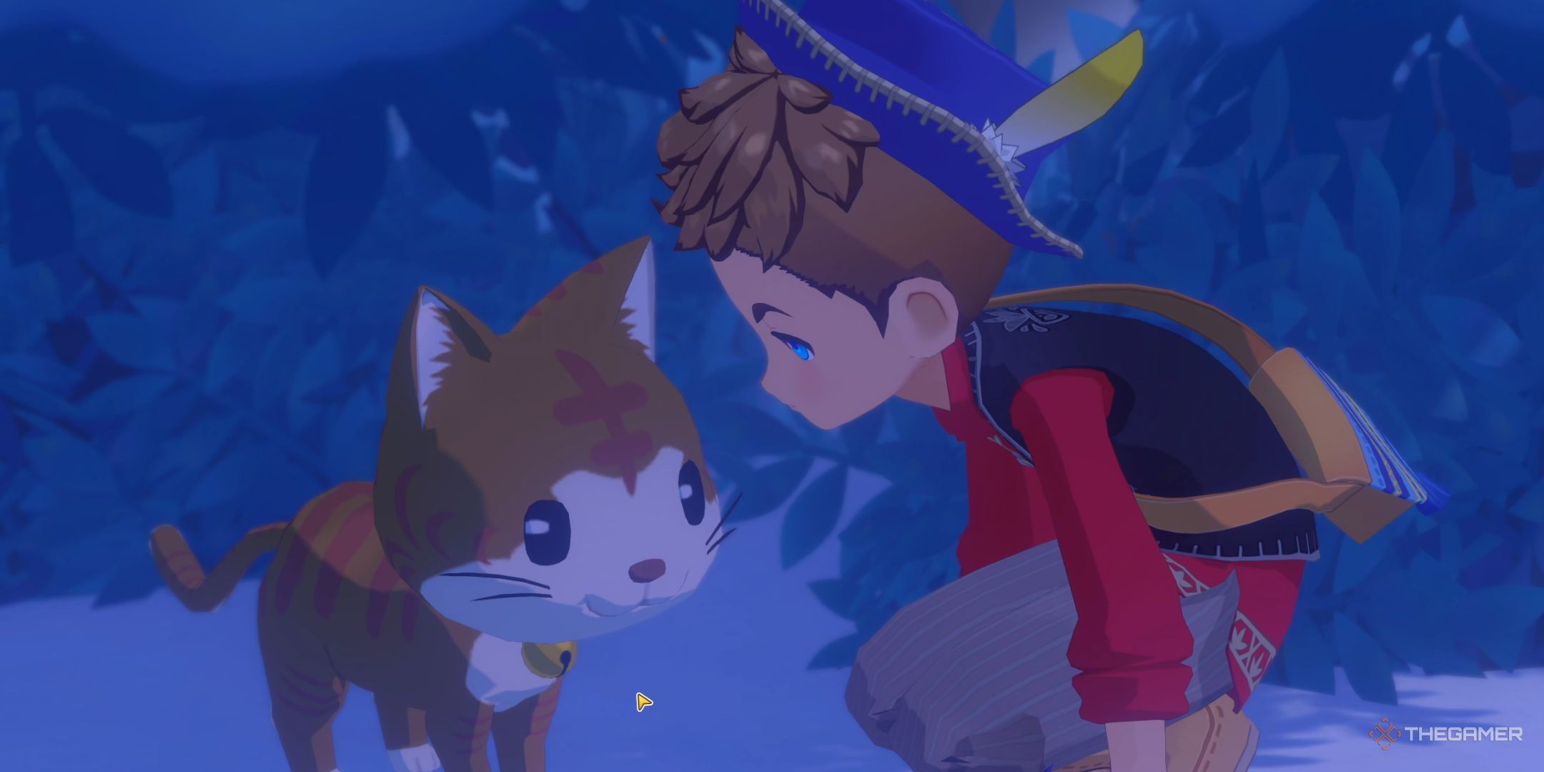 Where To Find Samir's Cat In Story Of Seasons: Grand Bazaar