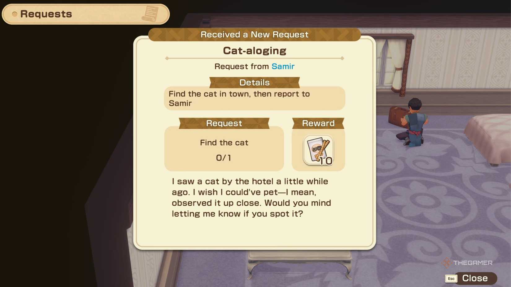 Samir Cat Where To Find Samir's Cat In Story Of Seasons: Grand Bazaar