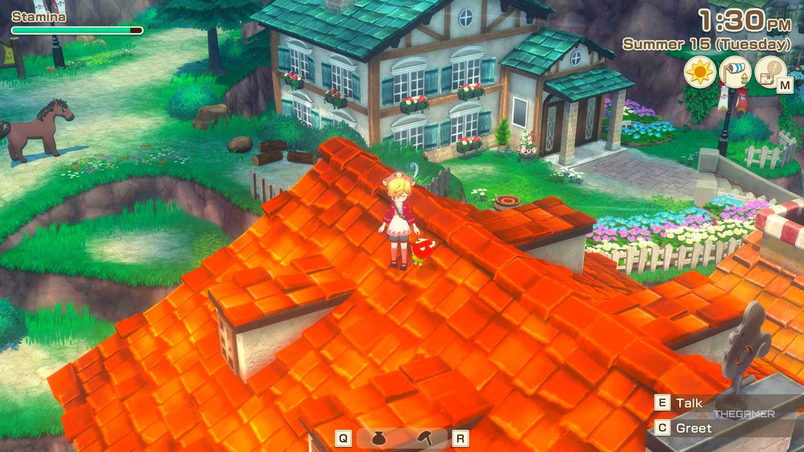 STORY OF SEASONS Grand Bazaar The farmer standing on the roof of the cafe with Penny.