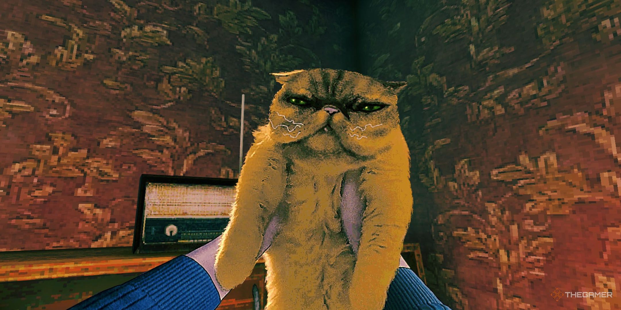 The cat in No I'm Not a Human.