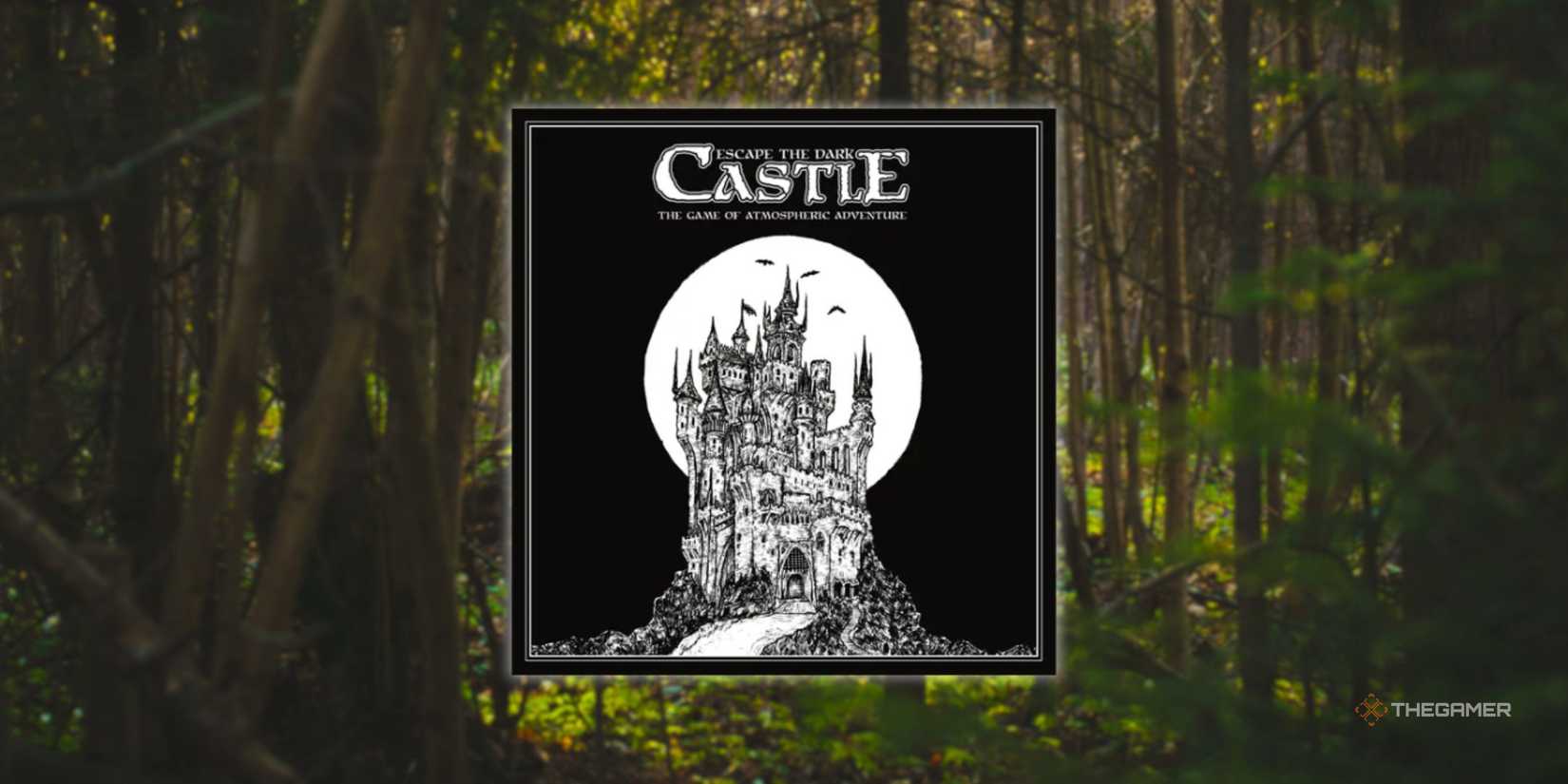 The Board of Board Sports to run ahead of a terrible forest.