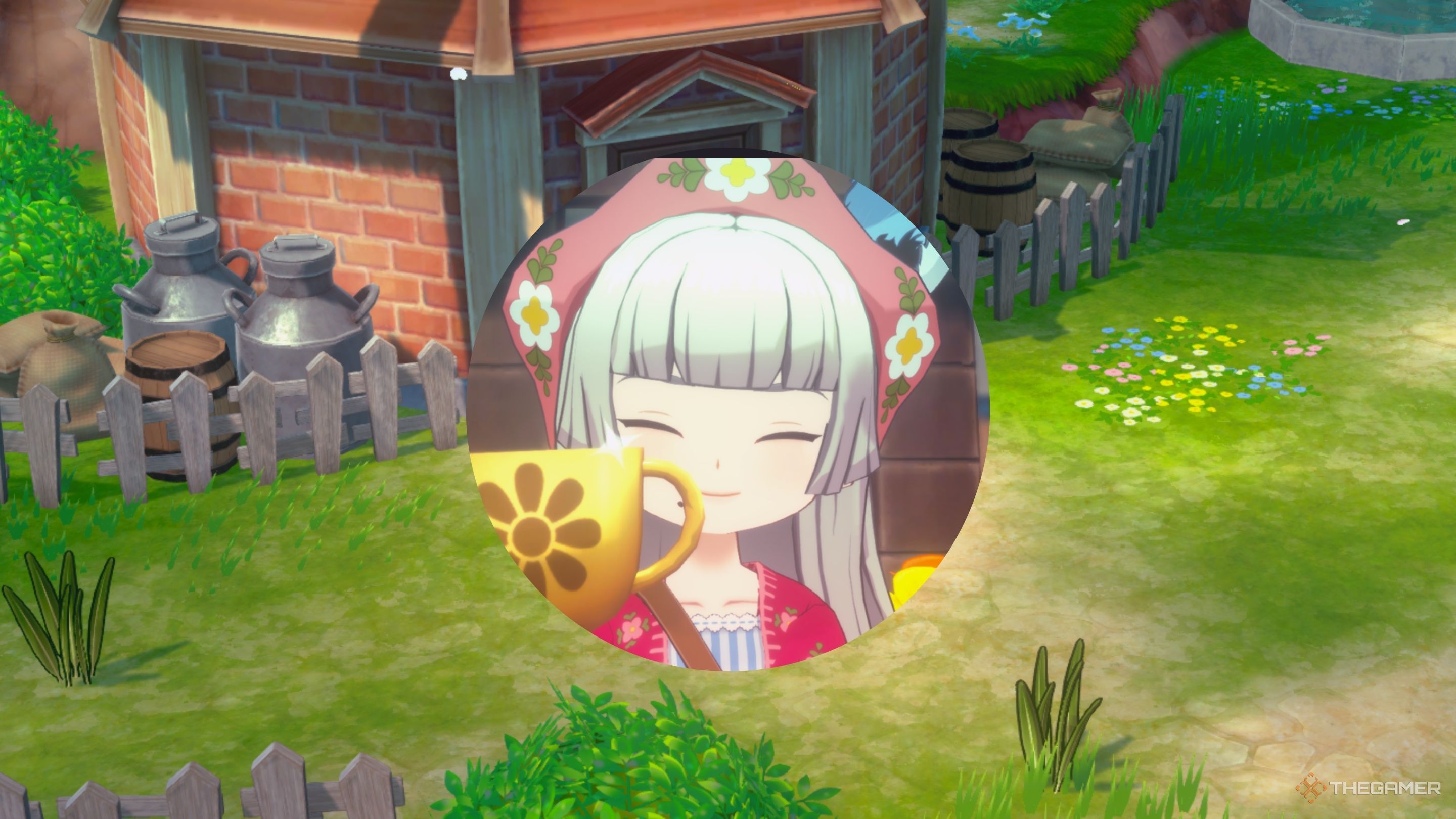The Biggest Differences Between Story Of Seasons: Grand Bazaar And The Original Harvest Moon: Grand Bazaar
