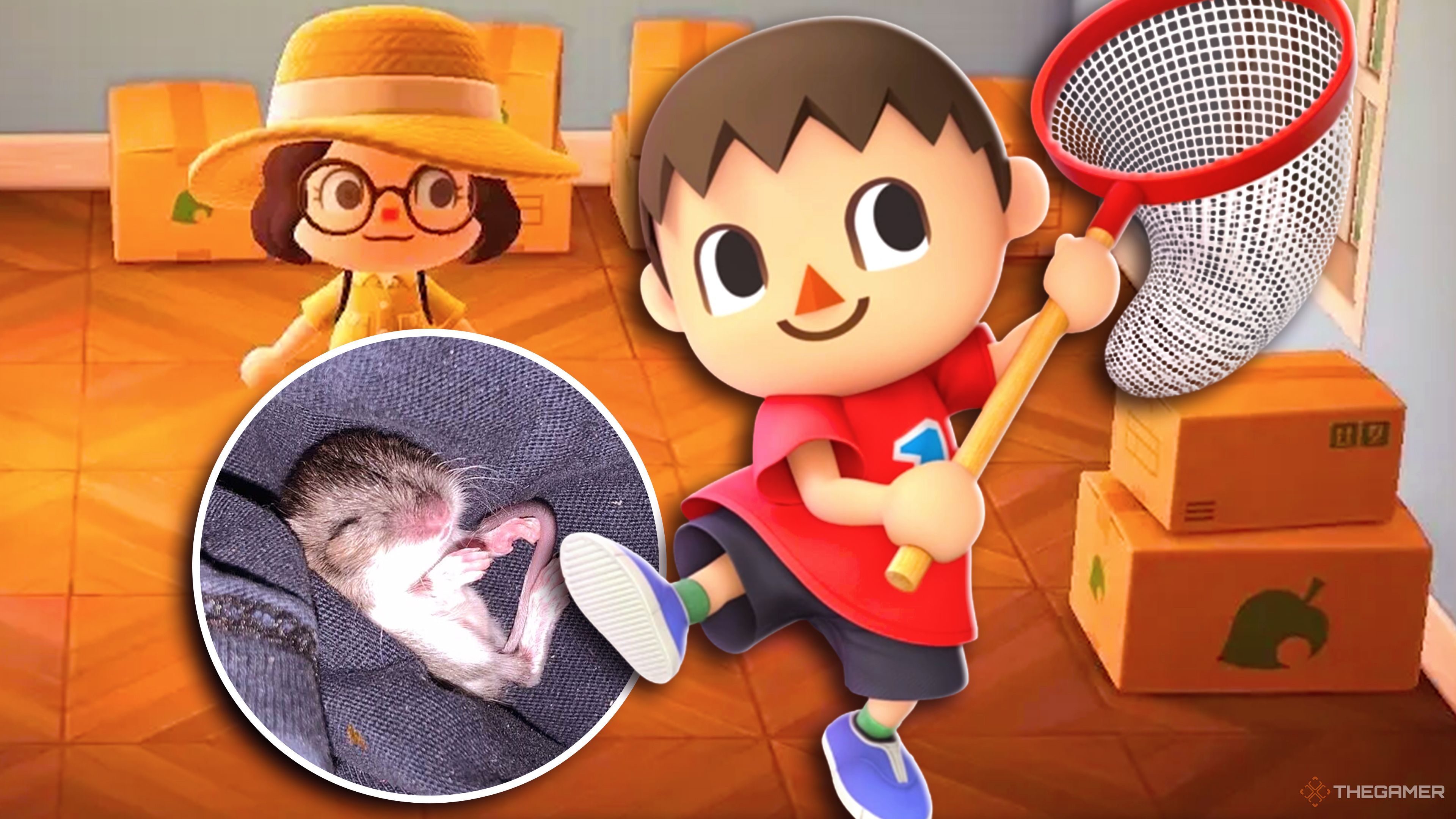 Animal Crossing characters stand ready for fun in a collage image with a baby mouse.