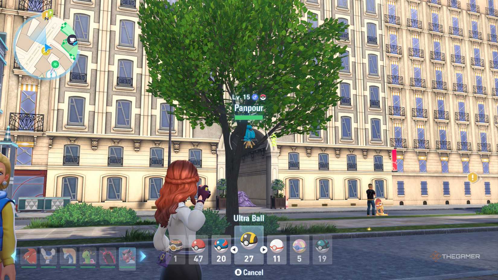 A player prepares to throw an ultra ball to catch Panpour on a tree in Pokemon Legends: ZA.