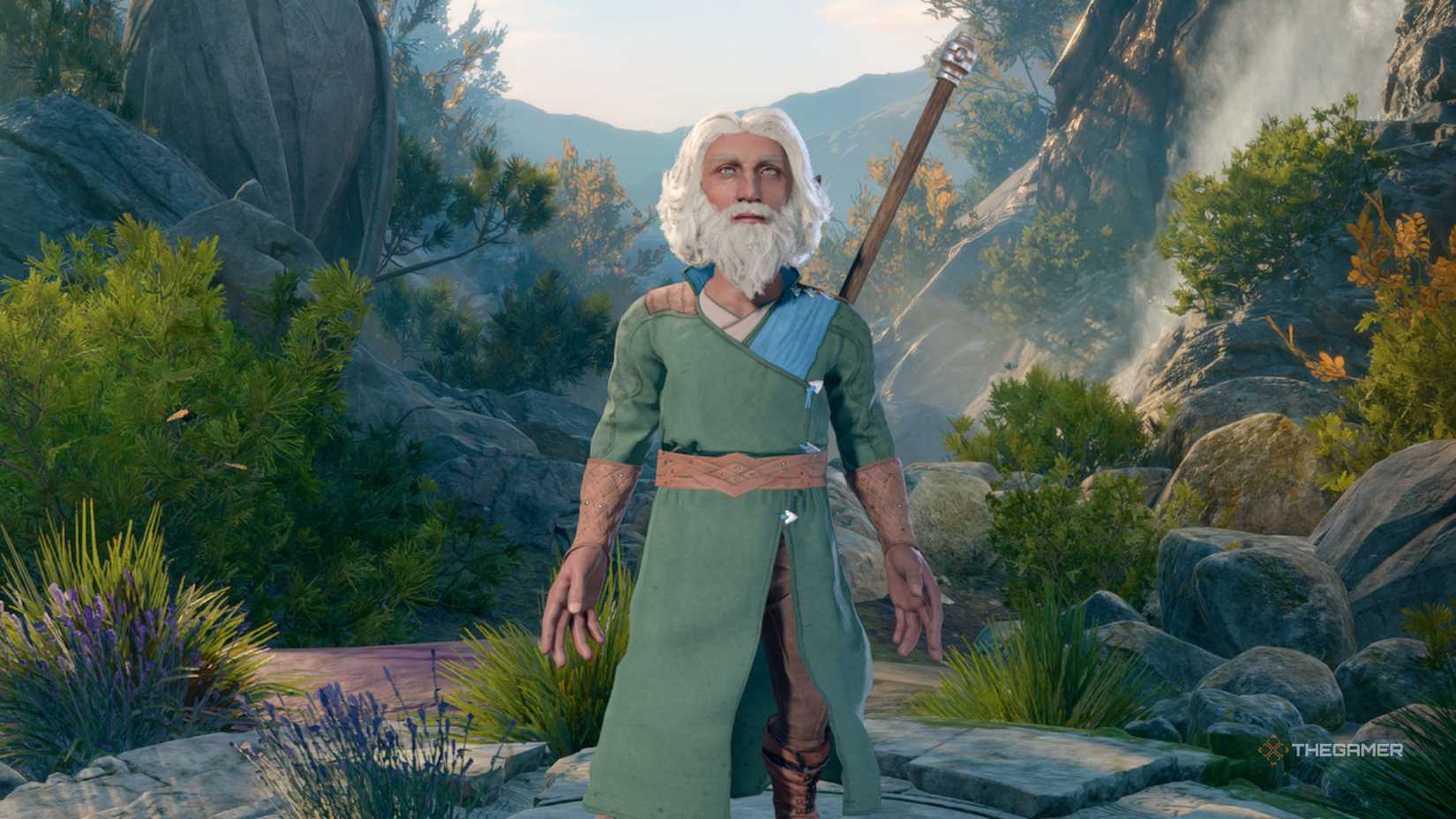 A hireling with a grey hair and beard in Baldur's Gate 3.