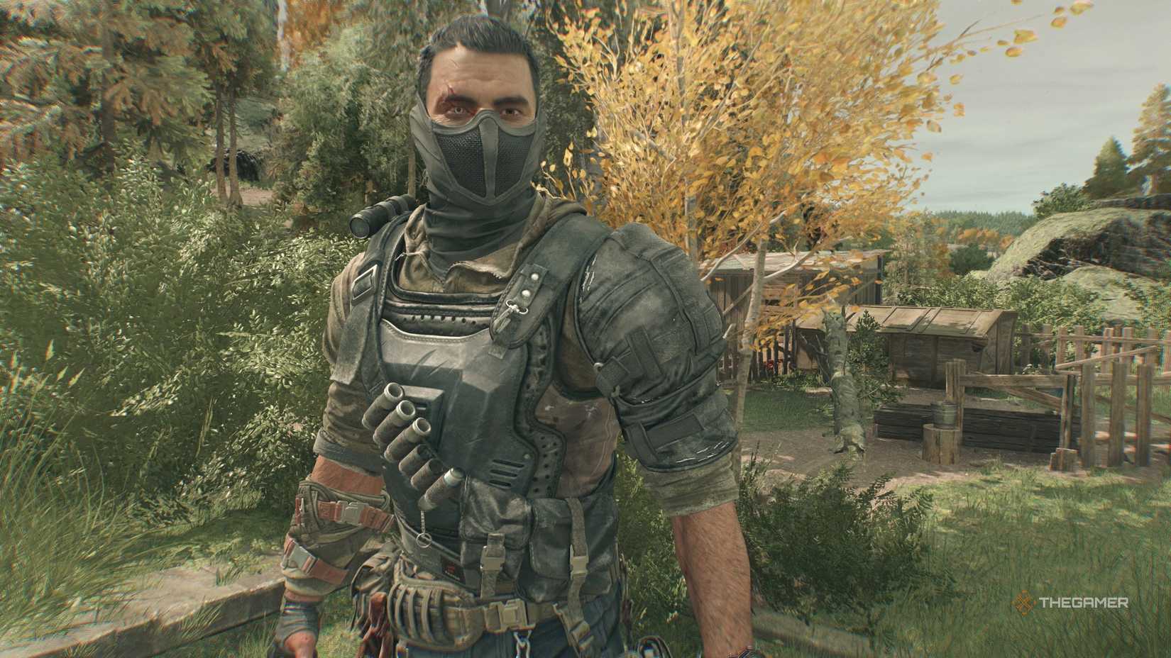 Armor set of dying lighting beasts.