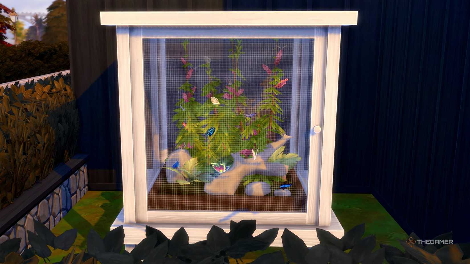 TS4 -äventyr väntar på en livsmiljö full av alla fjärilar.