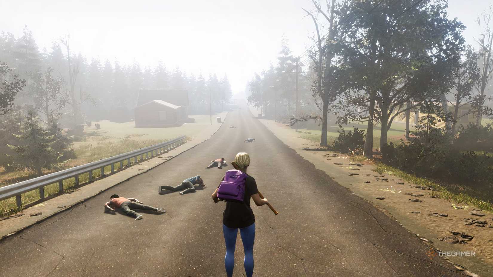 A character looking at dead zombies on a road in Vein.