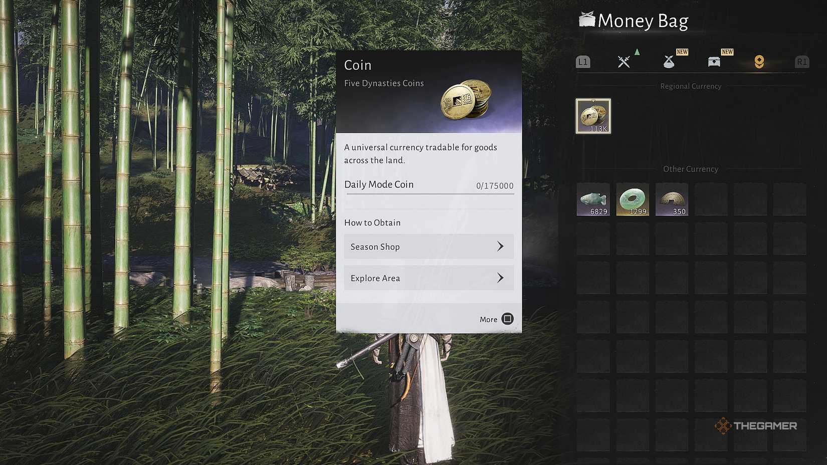 Four types of currency in money bags where air meets.