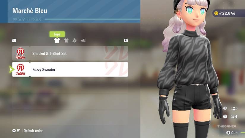 Fuzzy Sweater at Marche Bleu in Pokemon Legends: Z-A.