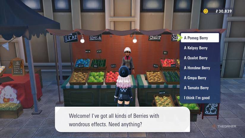 Trainer standing at a berry stall in Pokemon Legends: Z-A.