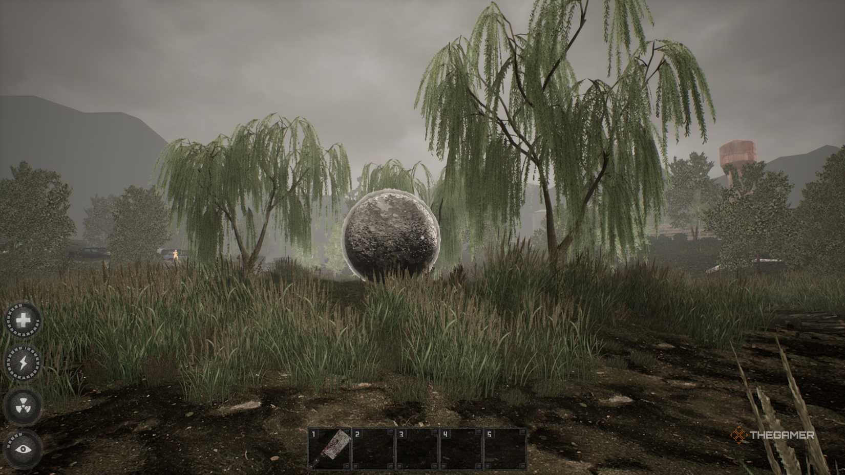 The player is looking at a black ball next to some trees in Misery.