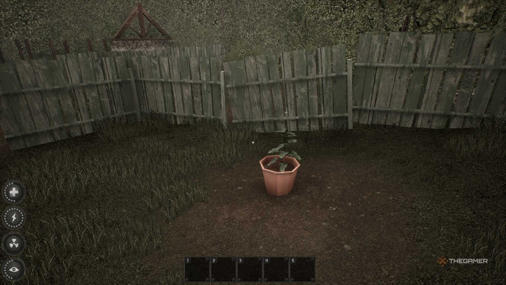 The player looks at the pots growing cucumbers in misery.