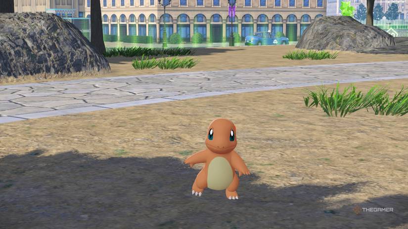 A Charmander running towards you in Pokemon Legends: ZA.