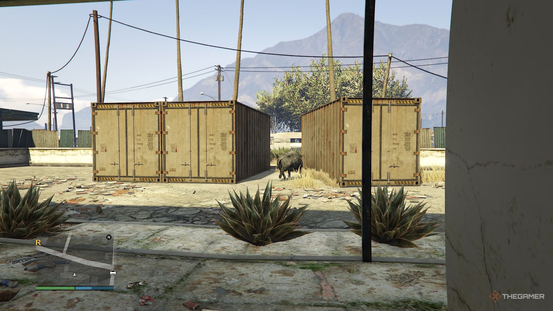 Where To Find Each Type Of Animal In GTA Online A Boar Between Containers In Grand Theft Auto Online 