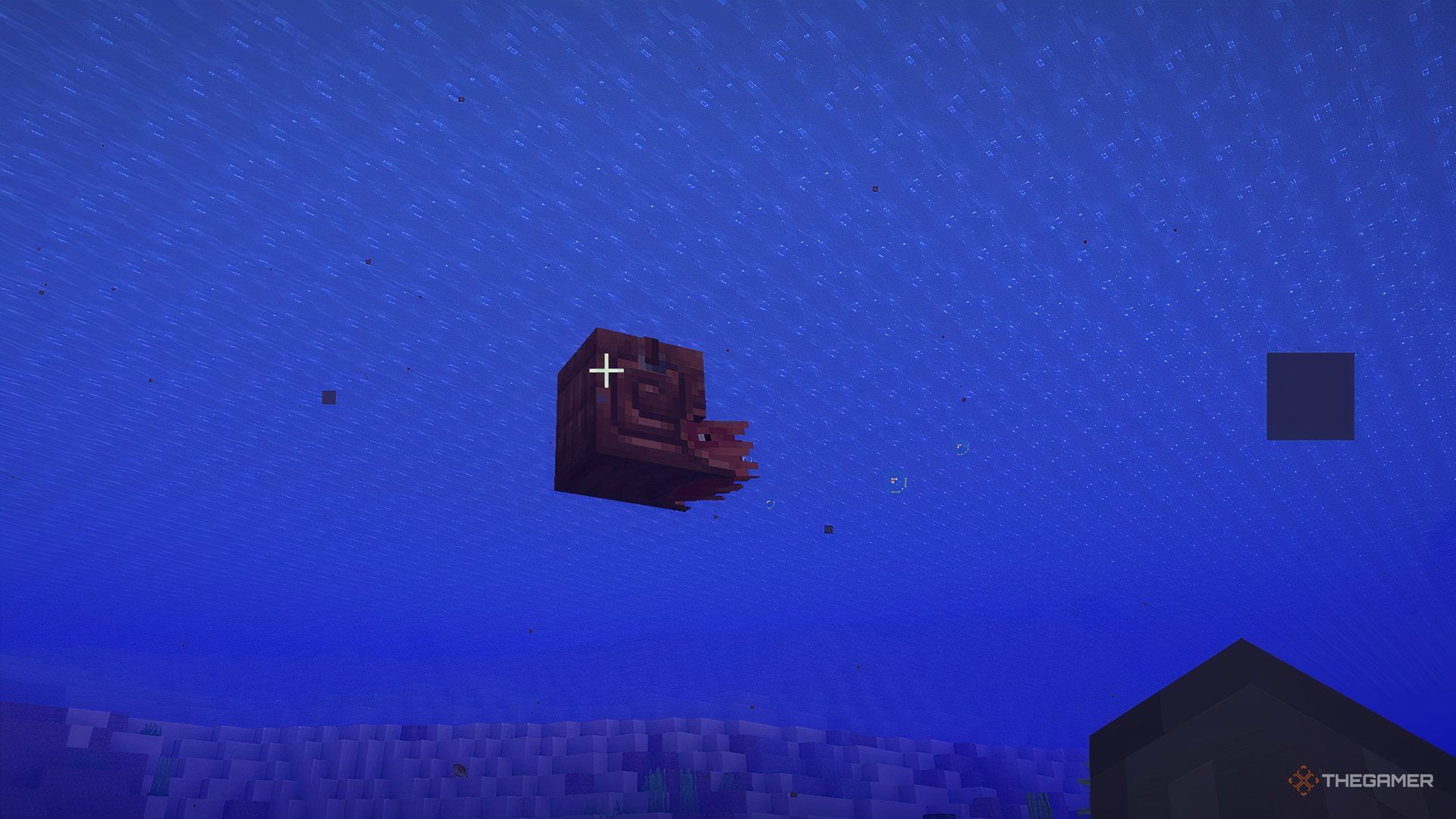 A Minecraft Nautilus with armor on in the ocean.