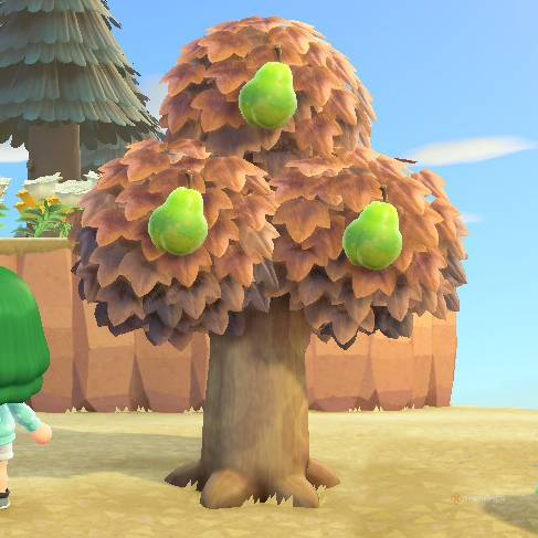 A Pear tree in Animal Crossing New Horizons.