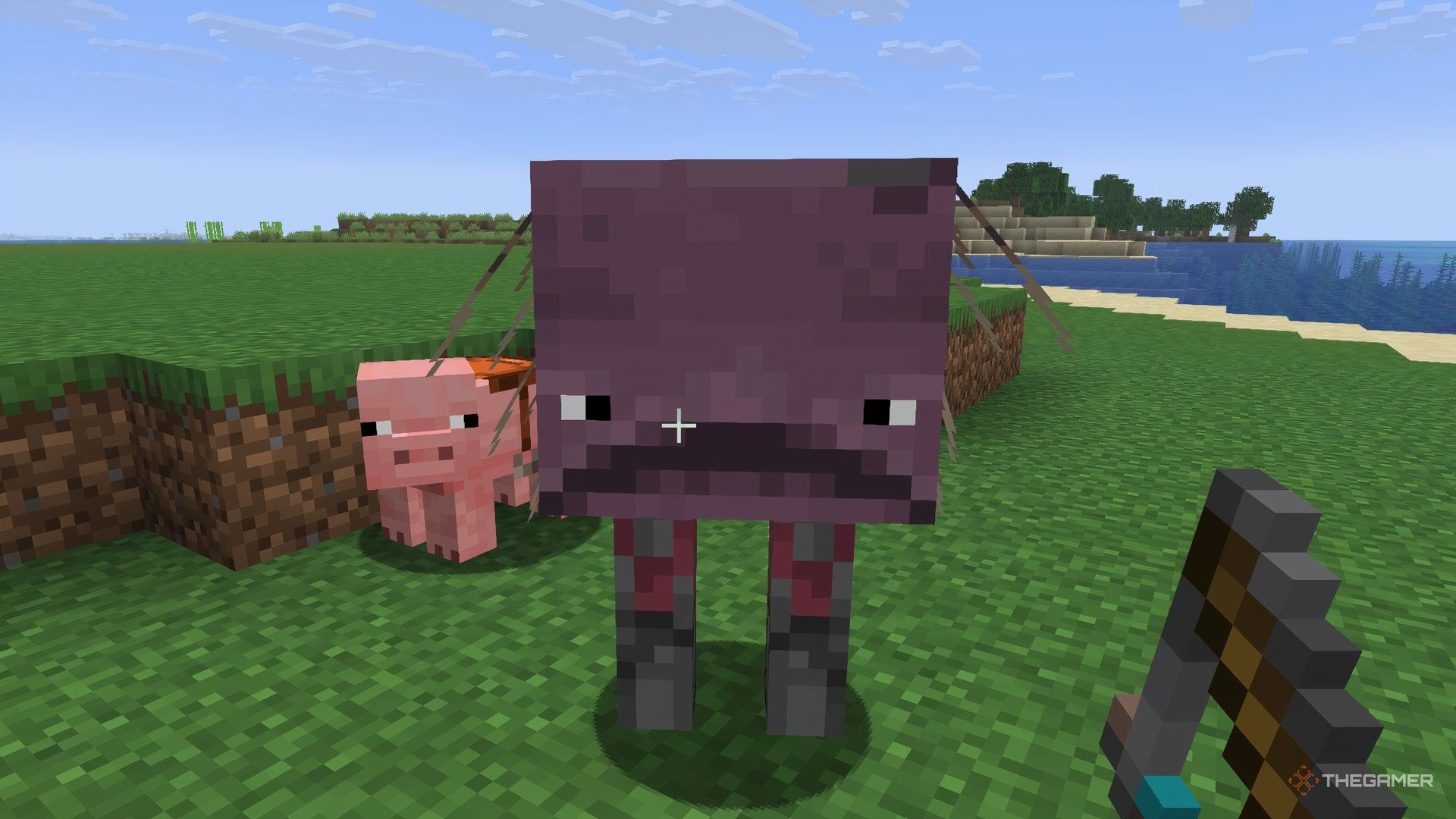 A strider and a saddled pig on an island in Minecraft.