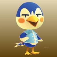 Ace in Animal Crossing New Horizons