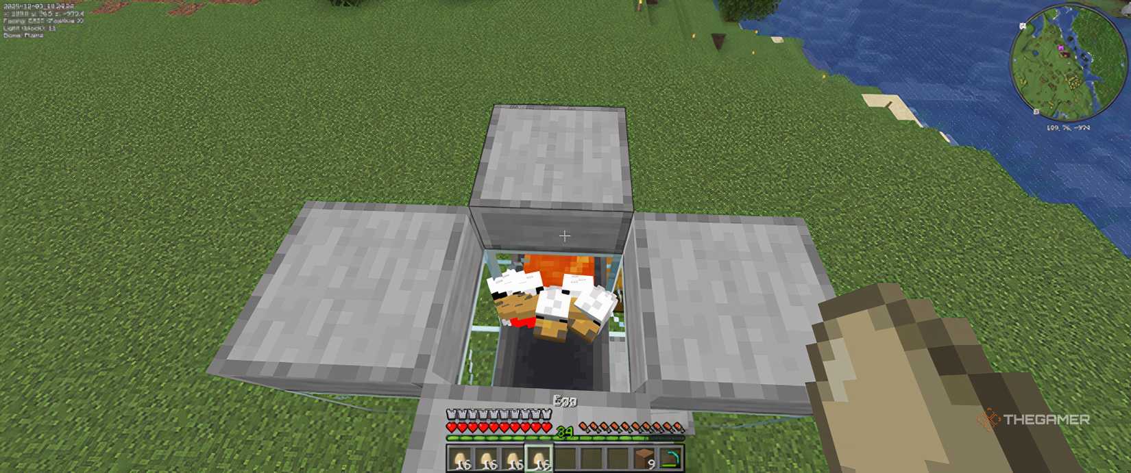 Adding chickens to an automatic chicken farm in minecraft.