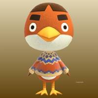 Anchovy in Animal Crossing New Horizons