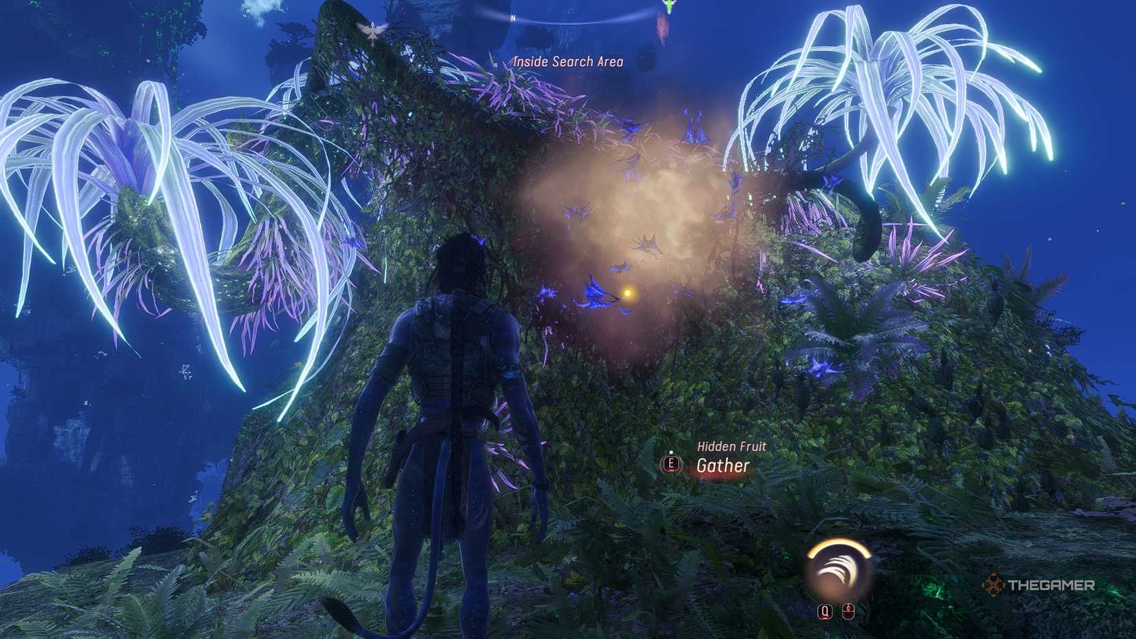 Avatar_ Frontiers of Pandora™ Collect hidden fruit from Bladewing Moths.