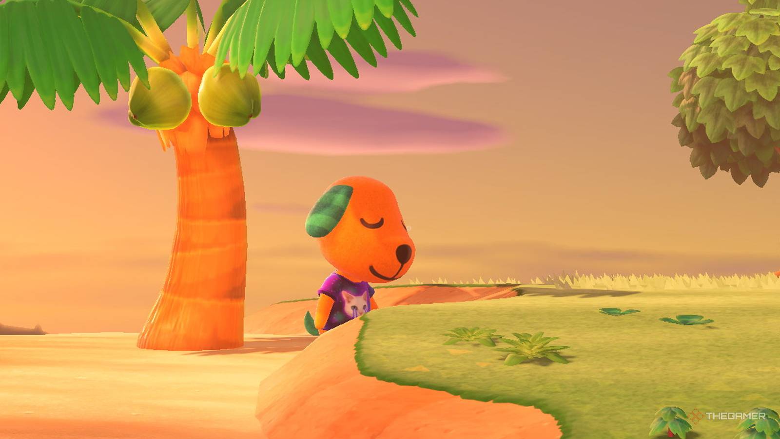 Biscuit near the beach in Animal Crossing New Horizons.