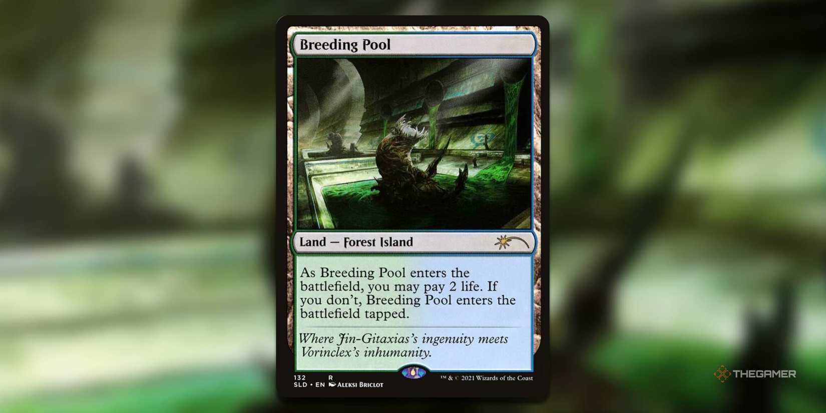 Breeding fund SLD Culture Shock.