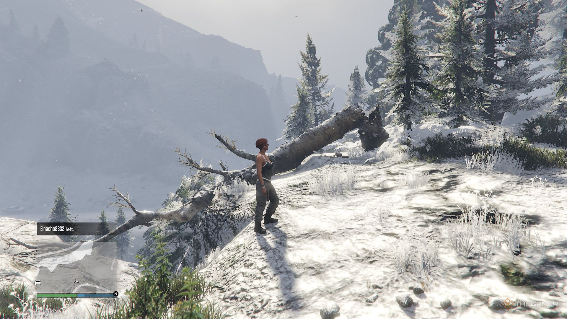 GTA Online body parts clue.