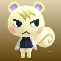 Marshal in Animal Crossing New Horizons