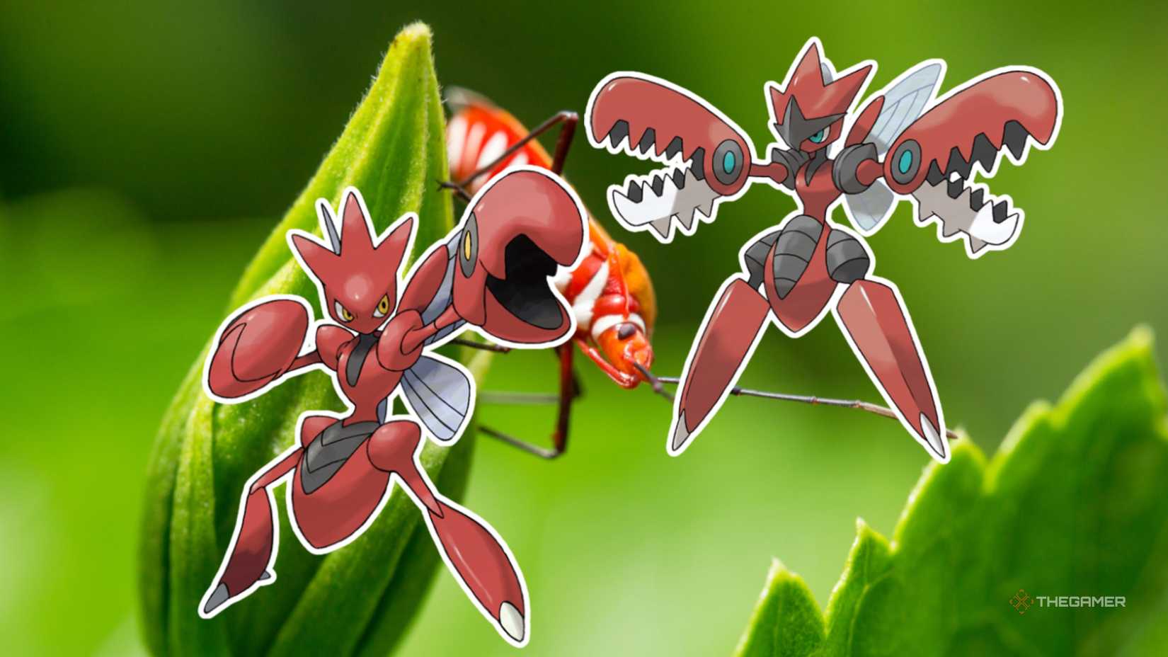 Mega and Regular Scizor from Pokemon on a background of a bug on a leaf.