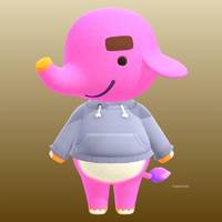 Paolo in Animal Crossing New Horizons