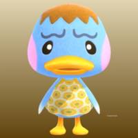 Pate in Animal Crossing New Horizons