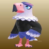 Quinn in Animal Crossing New Horizons