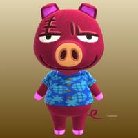 Rasher in Animal Crossing New Horizons