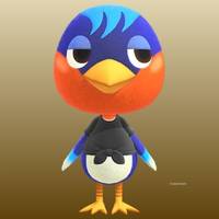 Robin in Animal Crossing New Horizons