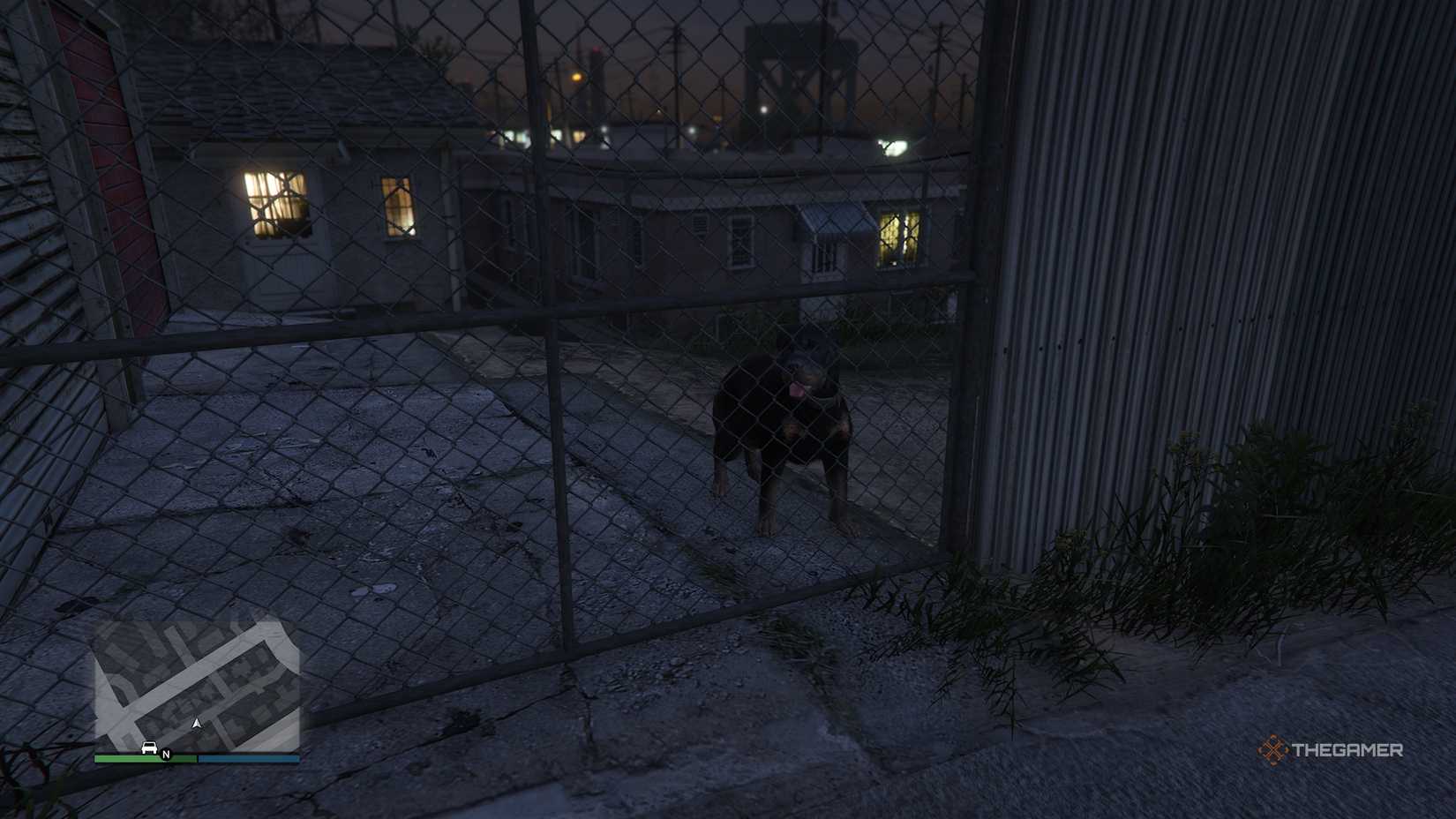Where To Find Each Type Of Animal In GTA Online