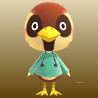 Sparro in Animal Crossing New Horizons