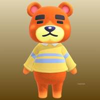 Teddy in Animal Crossing New Horizons