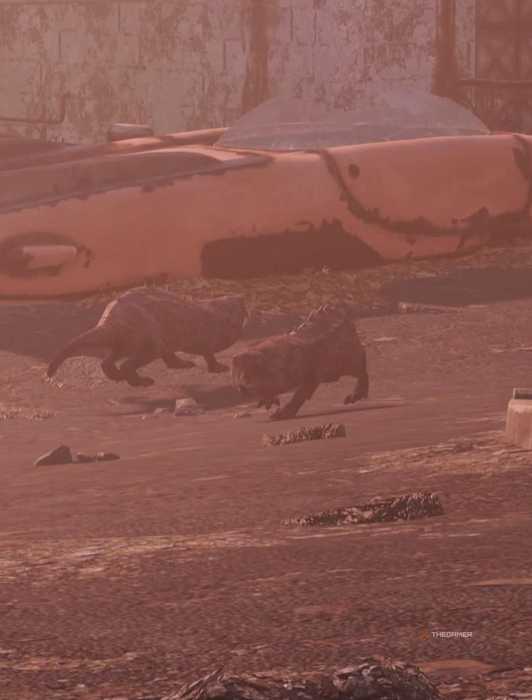 How To Get The Stimpak Diffuser In Fallout 76