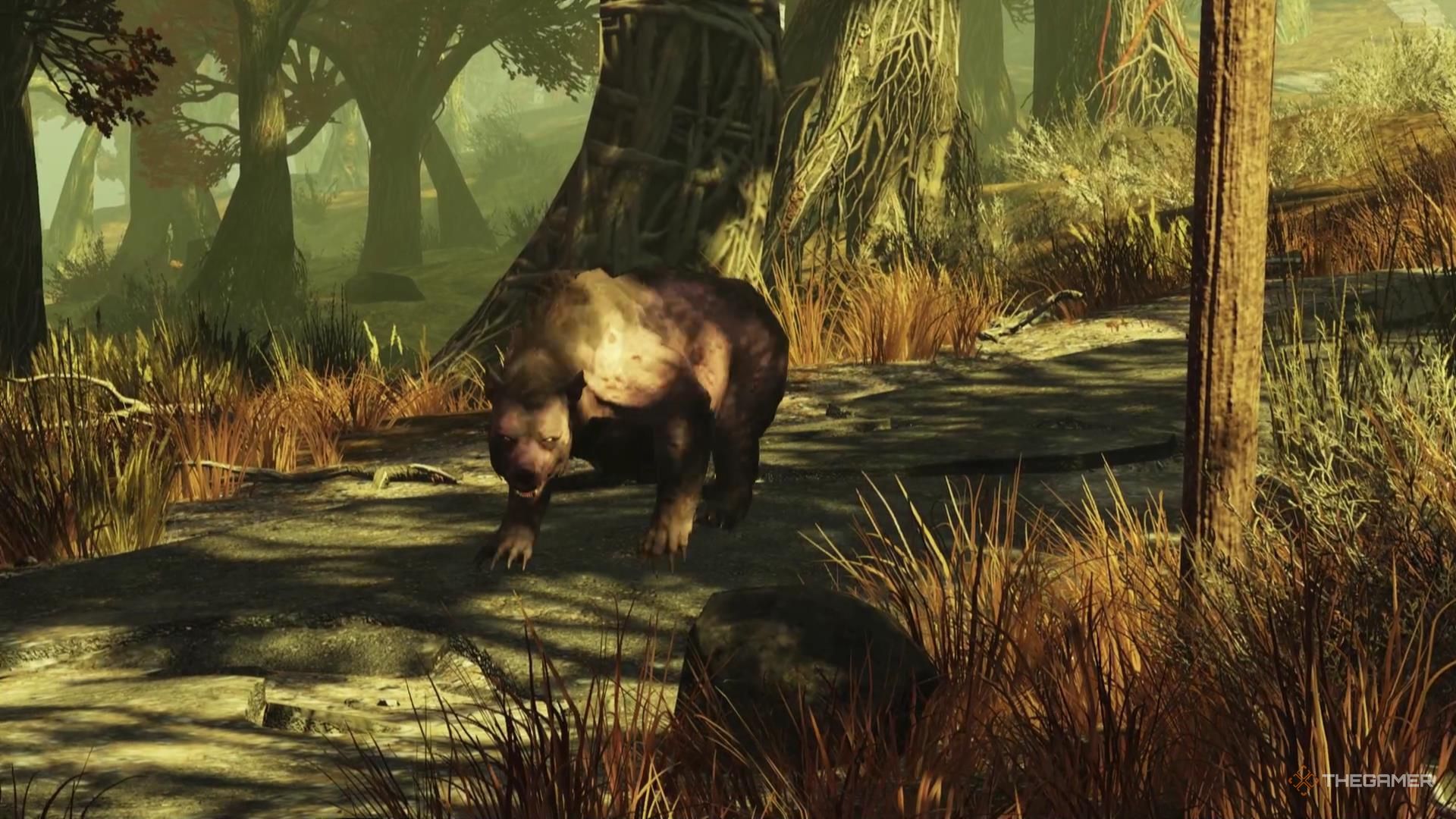 Descubra os melhores locais para farmar carne de Yao Guai em Fallout 76