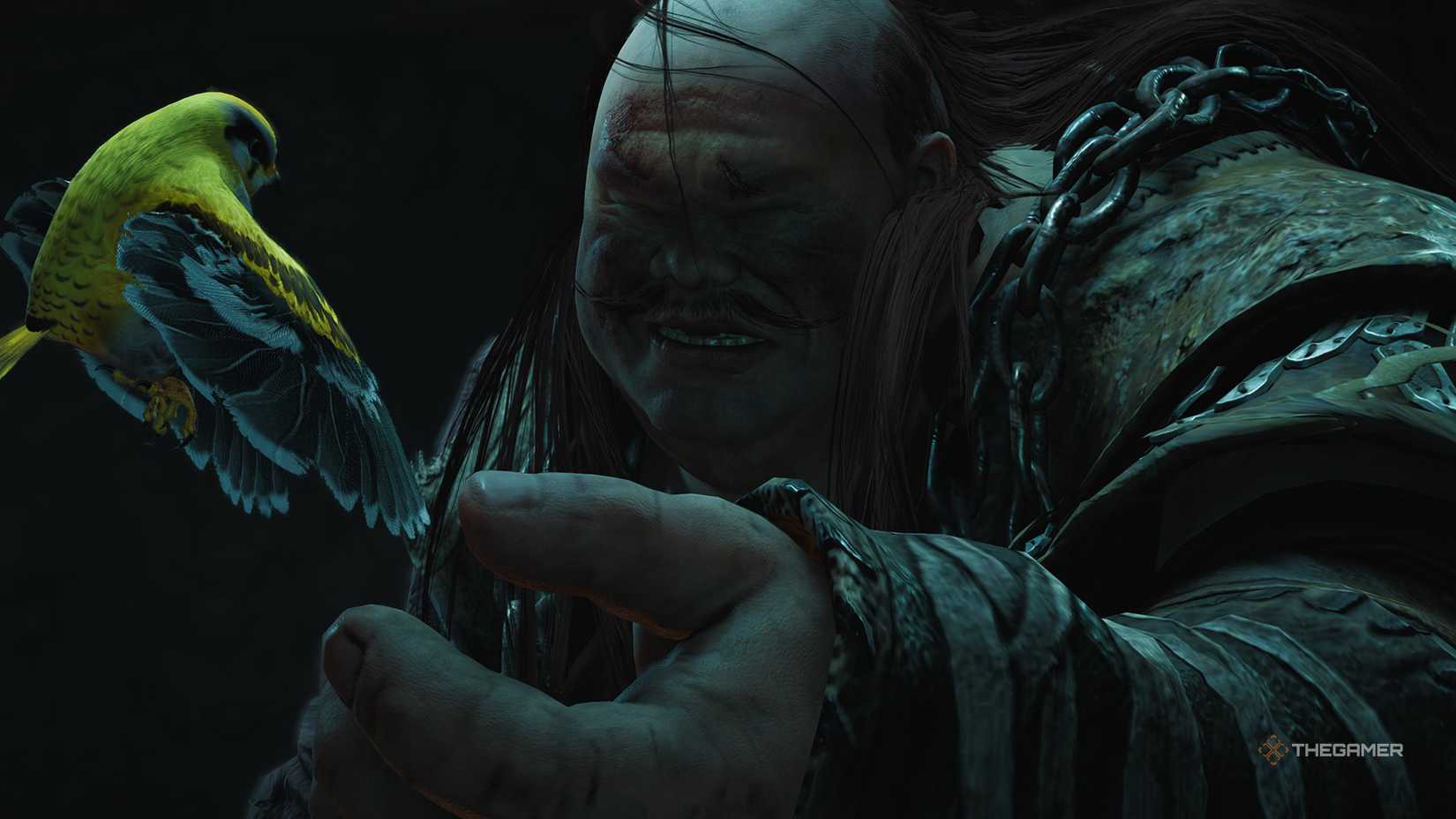 ژوکسی گول و پرنده اش در جایی که بادها به هم می رسند.