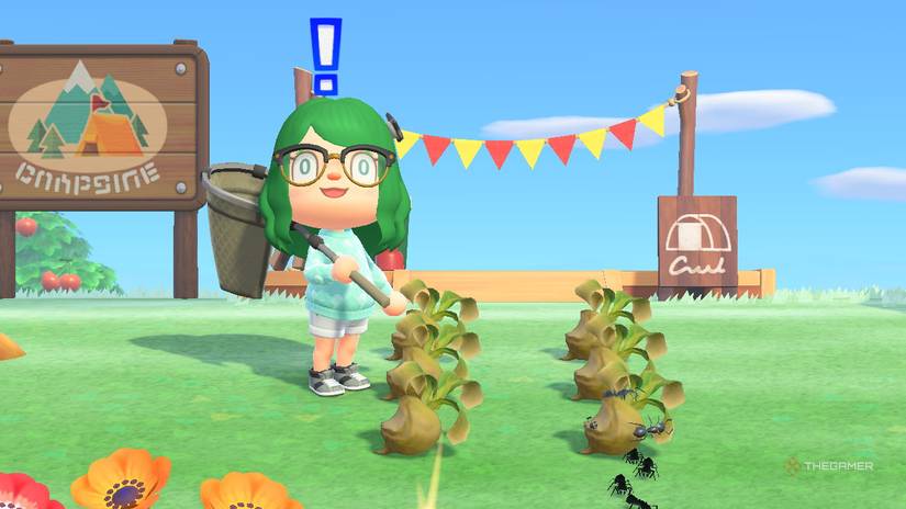 Machine Spoi How To Catch Ants And Flies Using Spoiled Turnips In ACNH