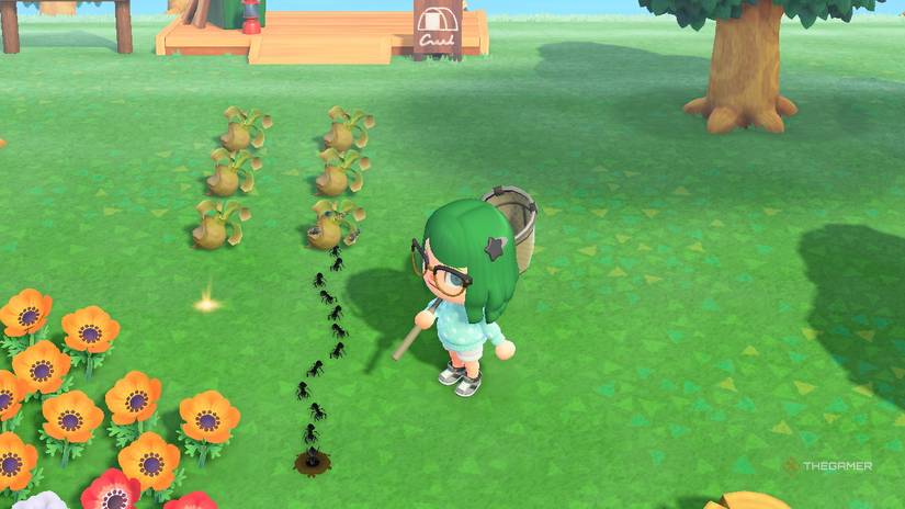Stack The Words Example How To Catch Ants And Flies Using Spoiled Turnips In ACNH