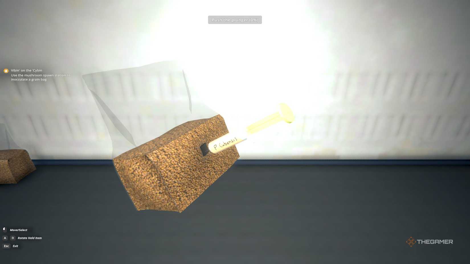 Create shrooms spawn in schedule 1.