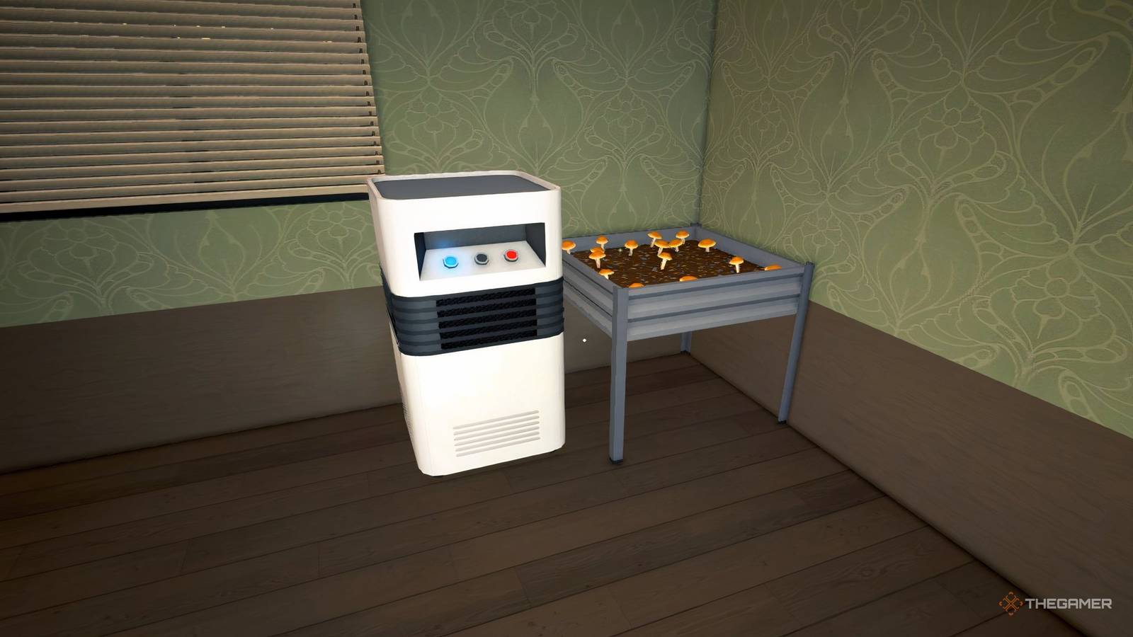 Schedule 1: Complete Guide To Shrooms