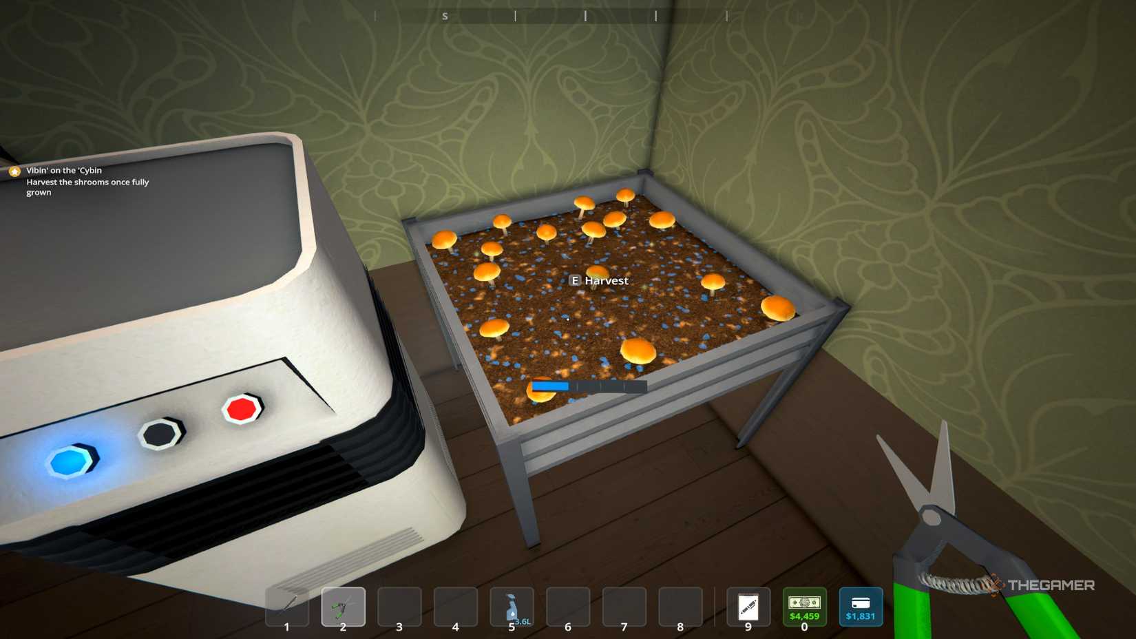 Harvested mushrooms in schedule 1.