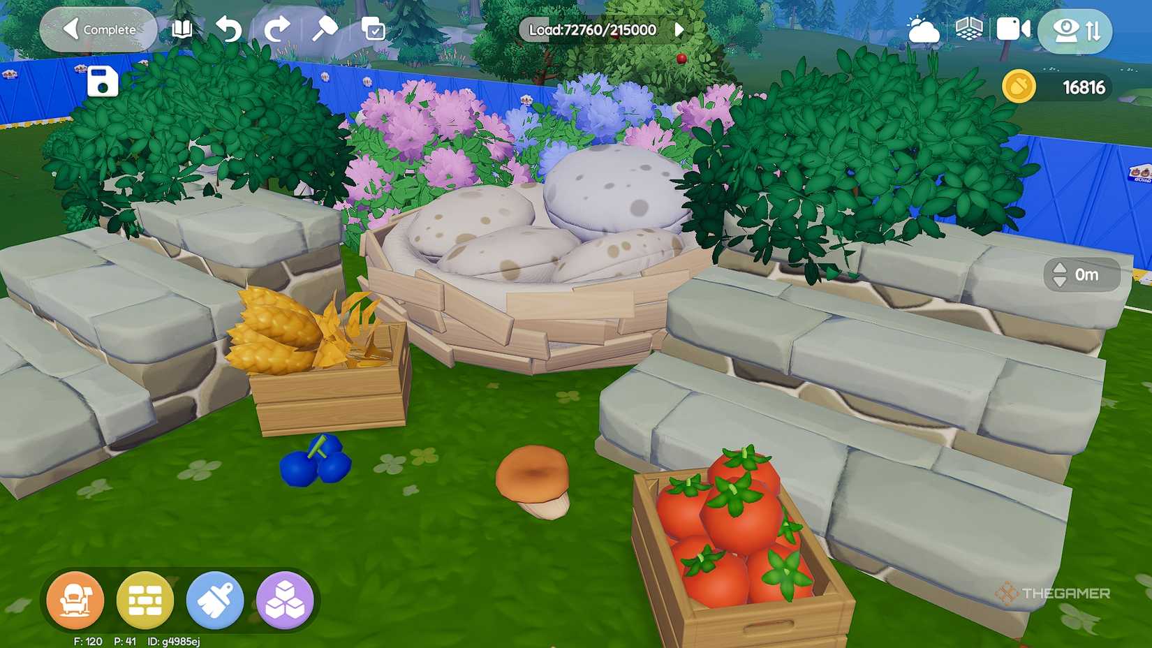 Hartopia bird's nest bed surrounded by leaves.